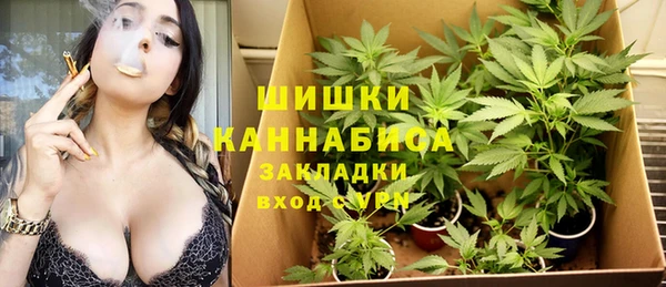 СК Алзамай