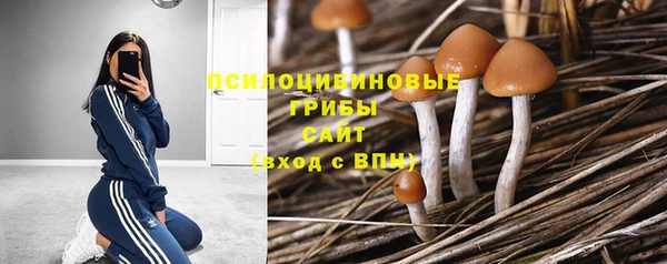 соль курить ск Алексеевка