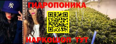 МДПВ Шахты