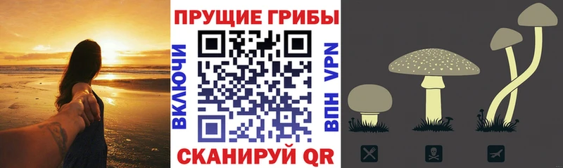 Галлюциногенные грибы мухоморы Усть-Лабинск
