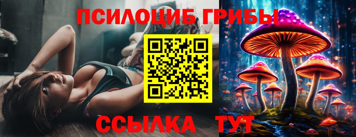 Псилоцибиновые грибы Psilocybe Усть-Лабинск
